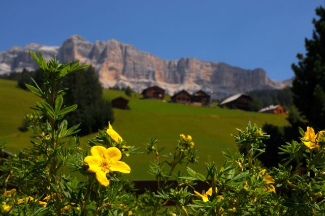 Immagine: Vacanze estive in Alta Badia