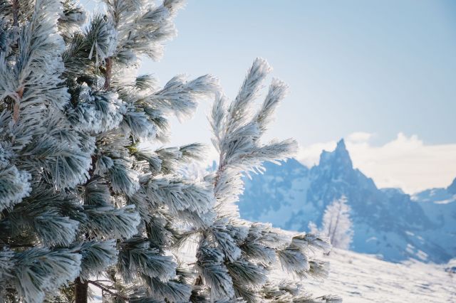 Immagine: Vacanze invernali in Alta Badia
